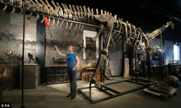 Dinosaurio a subasta