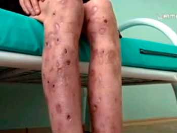 Krokodil méxico puerto vallarta