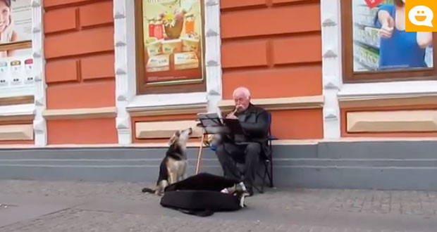 Perrito canta