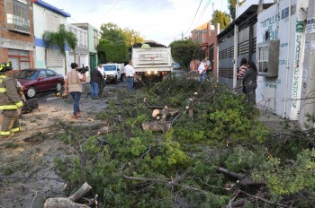 arboles caidos en morelia lluvia graniz