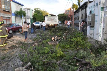 arboles caidos en morelia lluvia graniz