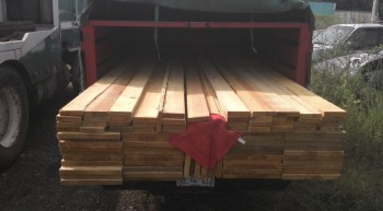 tala ilegal madera