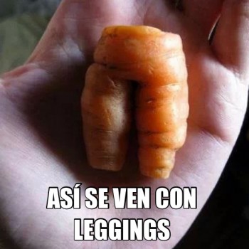 Leggings-gordibuenos