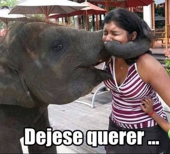 Tu no digas nada y dejate querer