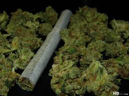 Uruguay no venderá mariguana a extranjeros aunque este legalizada