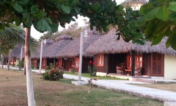 Zapote Campamento Michoacán