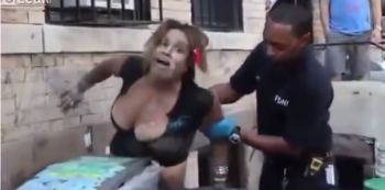 video krokodil