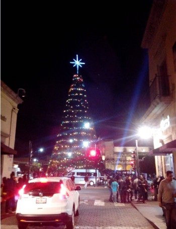 árbol de Navidad Morelia