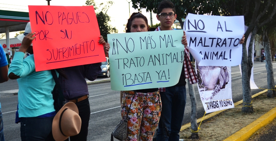 MANIFESTACIÓN CONTRA ANIMALES EN CIRCOS.