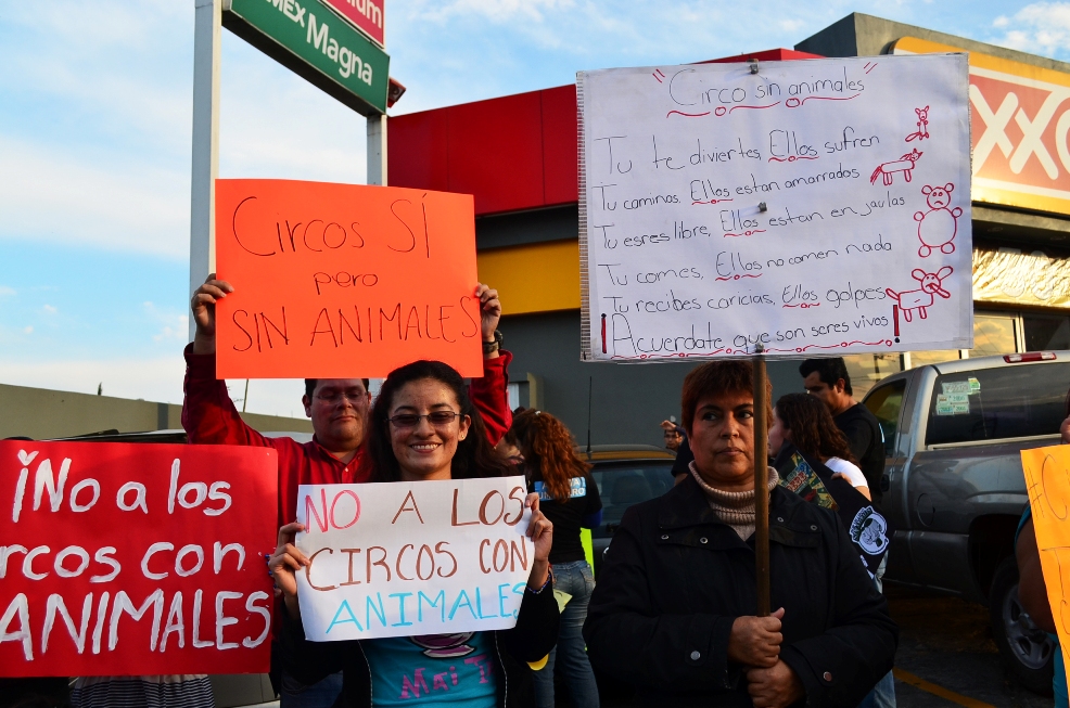 MANIFESTACIÓN CONTRA ANIMALES EN CIRCOS 