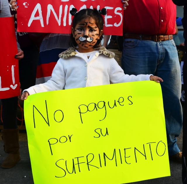 MANIFESTACIÓN CONTRA ANIMALES EN CIRCOS (5)