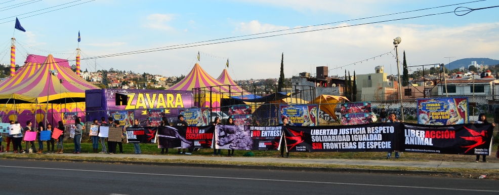 MANIFESTACIÓN CONTRA ANIMALES EN CIRCOS