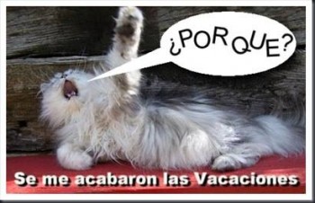 Se acabaron las vacaciones