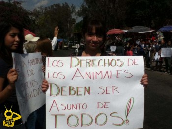 manifestación zoo de Morelia por venta de animales