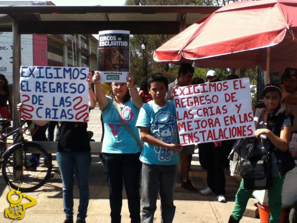 manifestación zoo de Morelia por venta de animales