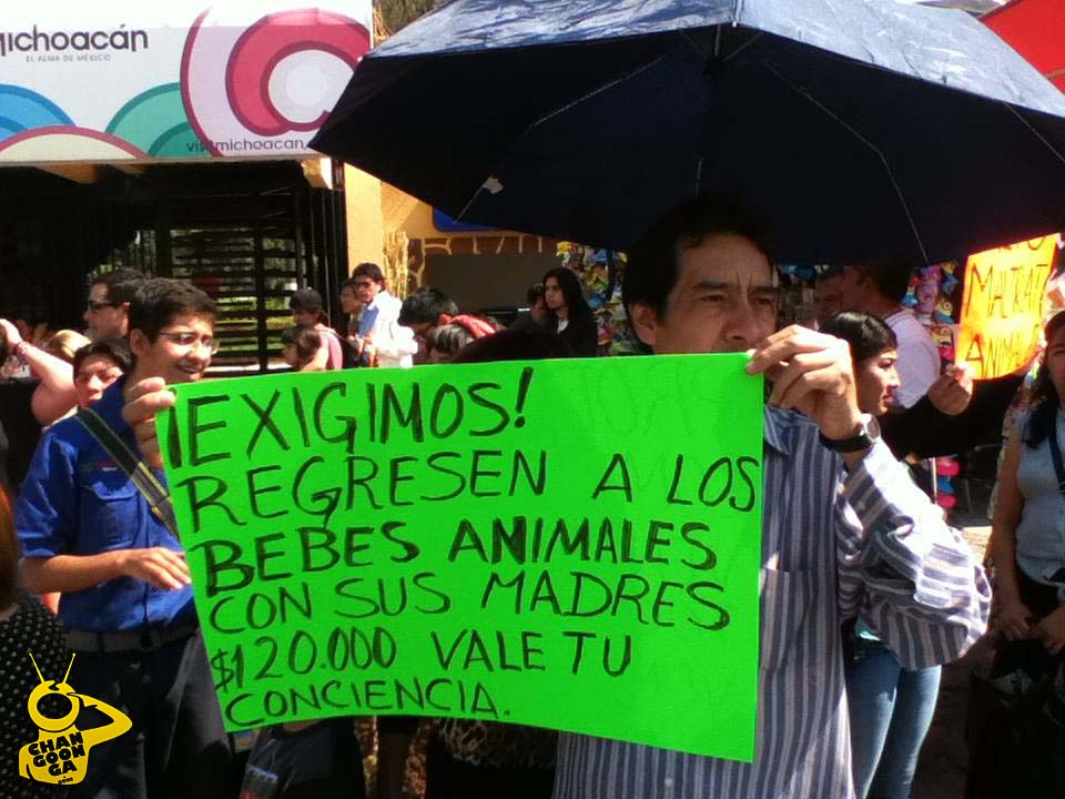 manifestación zoo de Morelia por venta de animales