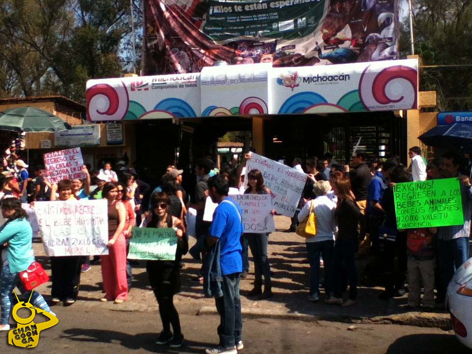 manifestación zoo de Morelia por venta de animales