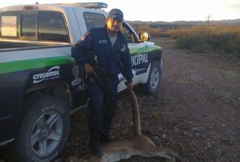 policía que cazó un puma y lo presume en facebook