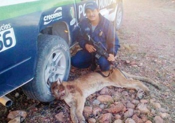 policía que cazó un puma y lo presume en facebook2