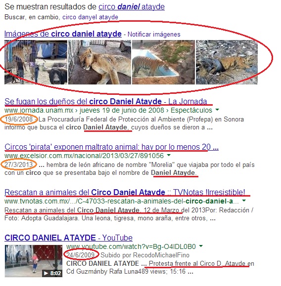 zoo Morelia circo daniel atayde googlear