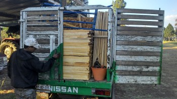 decomisan 3 mil piezas de madera