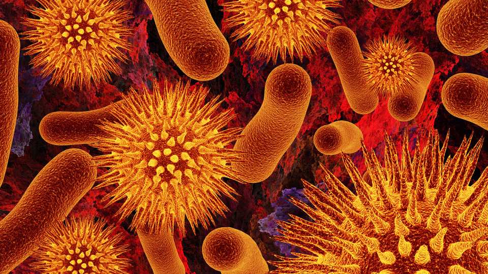 bacterias