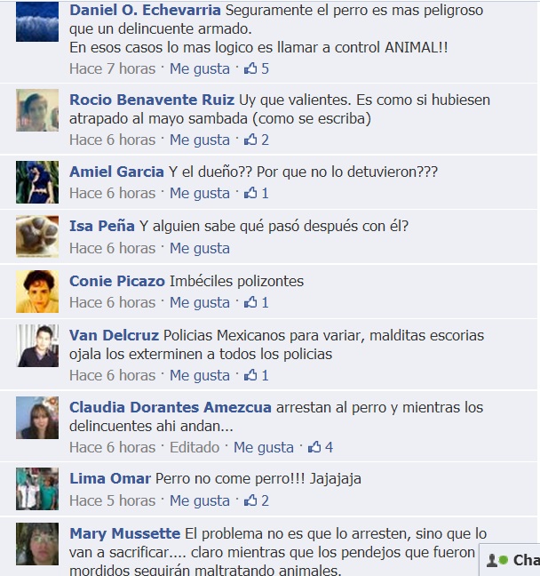 comentarios detención de pitbull