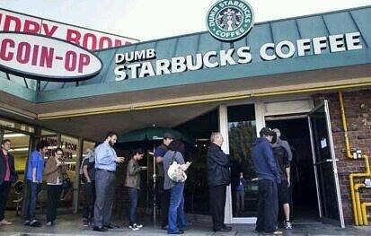 dumb starbucks