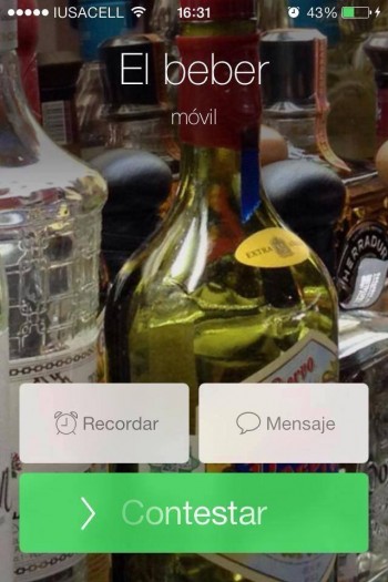 El beber llama