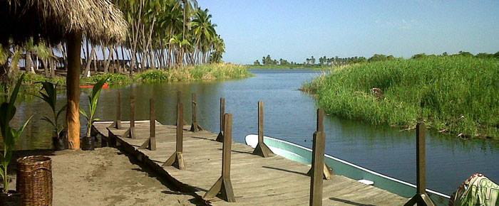 Manglares de Coahuayana, Michoacán
