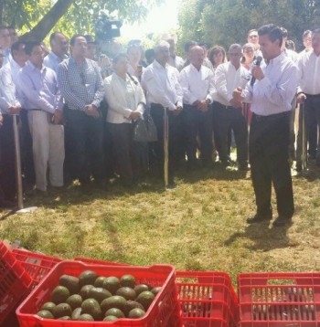 Peña Nieto reunión productores aguacateros en Uruapan, Michoacán