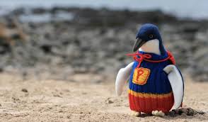  Tejen suéteres para proteger a los pingüinos de residuos tóxicos 