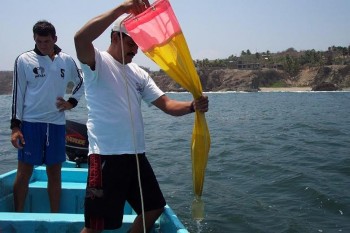 Vigilan playas michoacanas que no se presente marea roja SSM