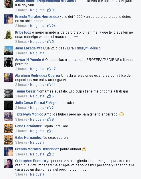 buho venta polémica FB