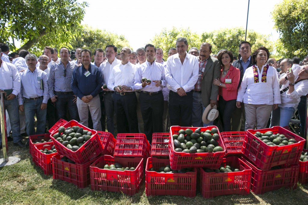 peña nieto aguacateros uruapan sosteniendolos