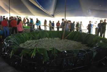 pico de gallo más grande del mundo en ziracuaretiro