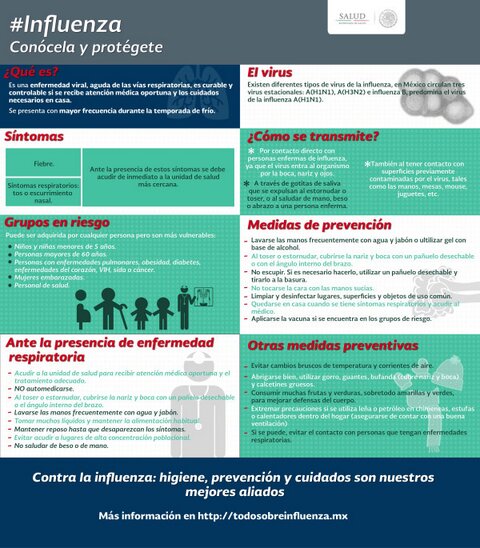 recomendaciones influenza