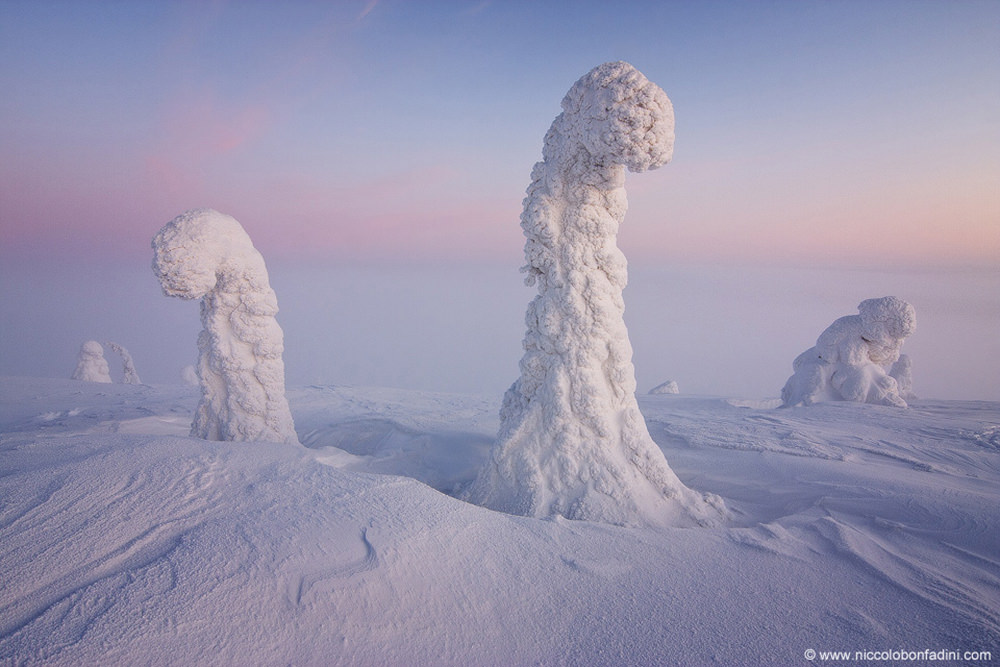 Centinelas del Ártico, Finlandia