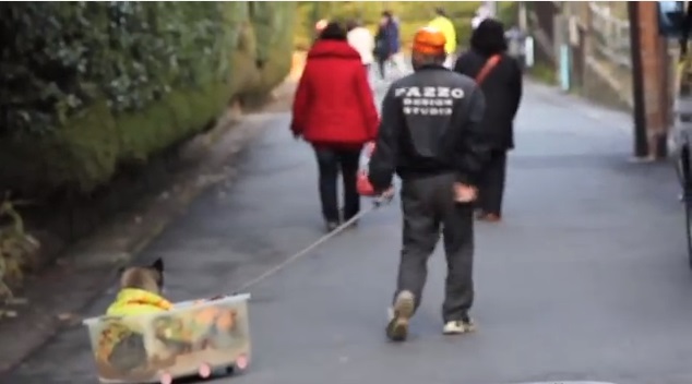 Dueño saca a pasear a su perro en una caja porque ya no puede caminar