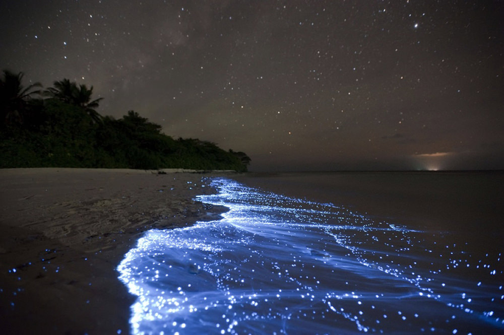 Mar de Estrellas, Isla Vaadhoo, Maldivas
