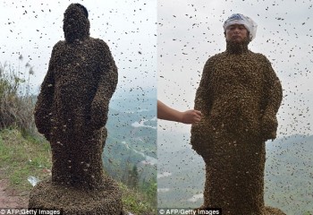 Ping es un apicultor chino  y cubre su cuerpo con más de 460mil abejas