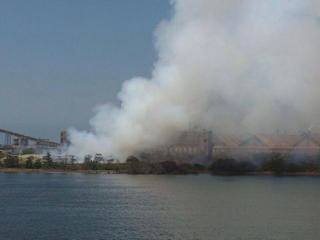 fuga de amoníaco en Lázaro Cárdenas 4