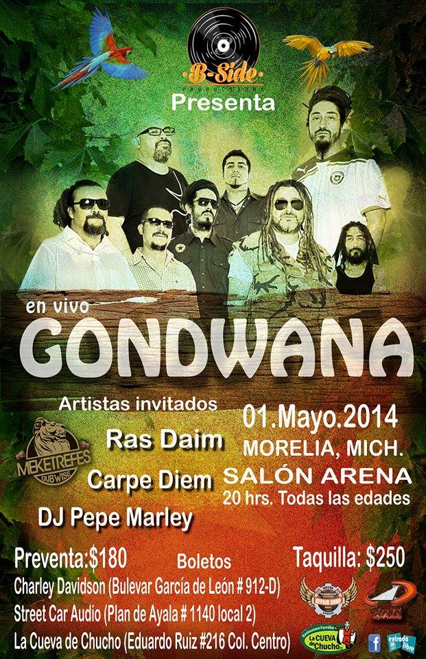 gondwana flyer tokin Morelia