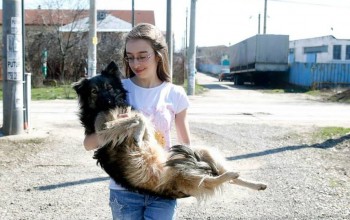 niña de 13 años salva perros a través de facebook
