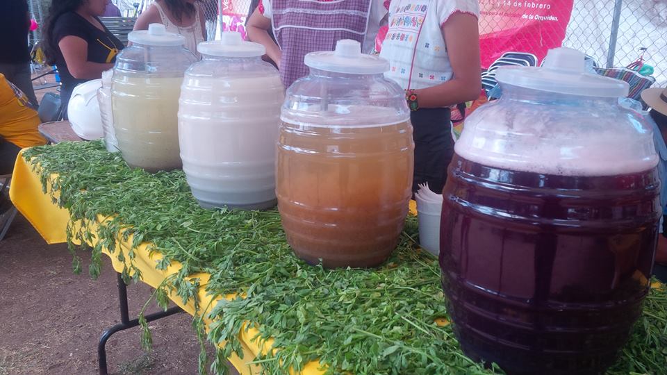 pic beer 10