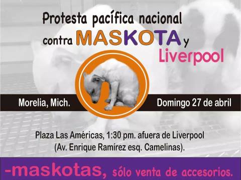 protesta vs maskota morelia