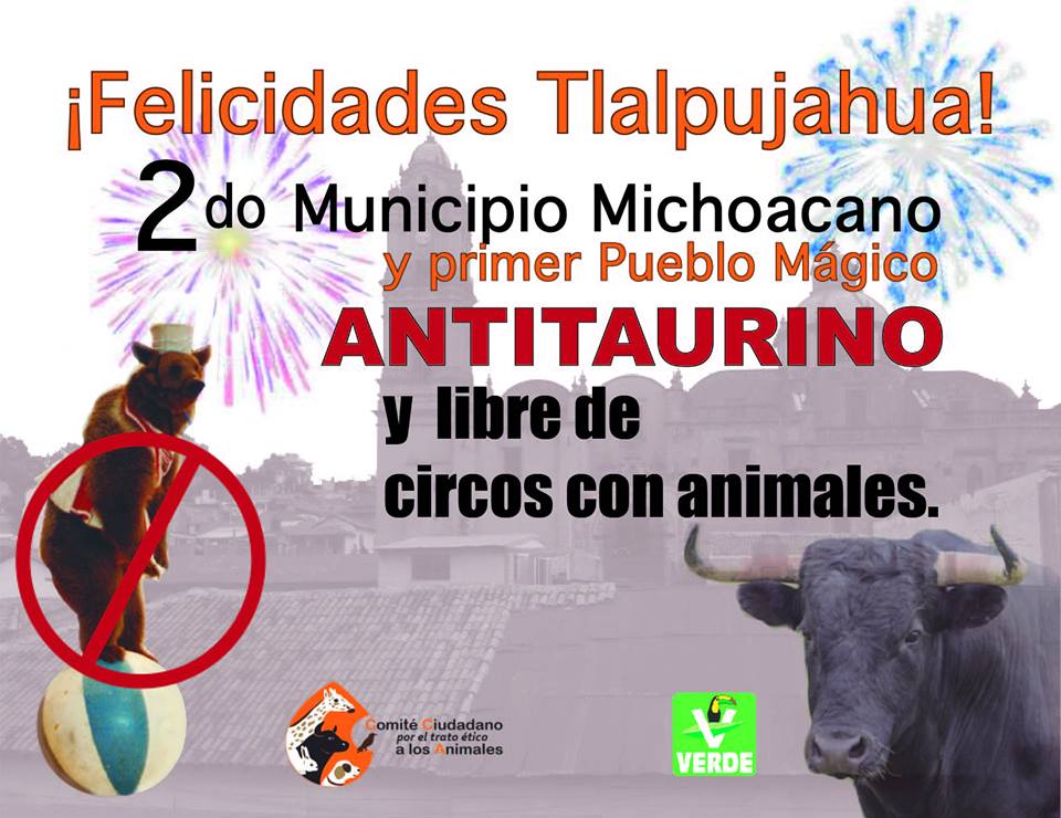 tlalpujahua antitaurino y circos con animales