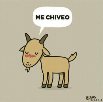 Me chiveo
