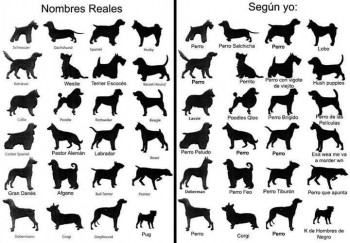 RAzas de perro
