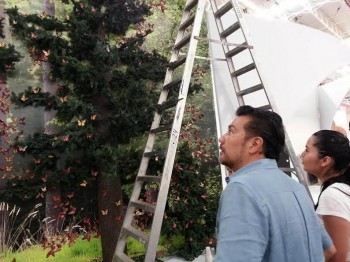 Roberto Monroy supervisando stand de Michoacán